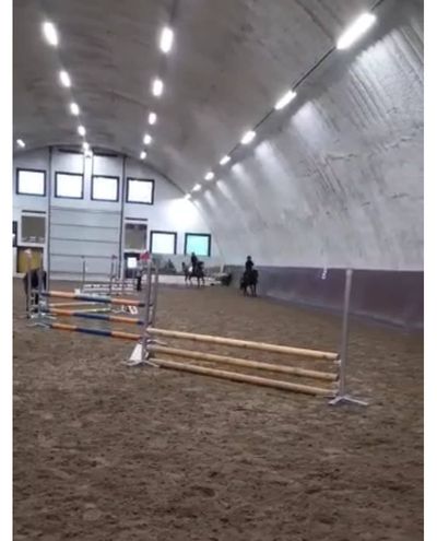 Turnhalle 2 Pferde gleicher Besitzer