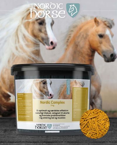 Complex (1kg tägliches Produkt) Nordic