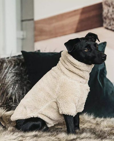 Teddy Fleece Dog Sweater (XXS-S)