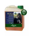Muscle Energy Boost (2,5l tägliches Produkt)