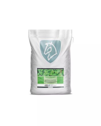 Peppermint (1kg) Nordic