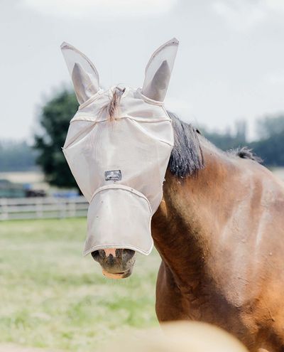 fliegenhaube classic mit eas und Nase beige